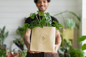 organik ürün seçenekleri